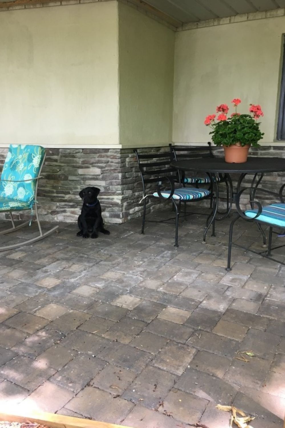 Stone Veneer - Ledge Stone Mossy Creek - Mountain View Stone