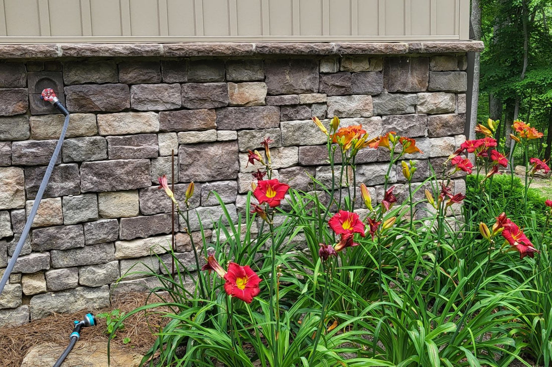 Stone Veneer - Lime Stone Mossy Creek - Mountain View Stone