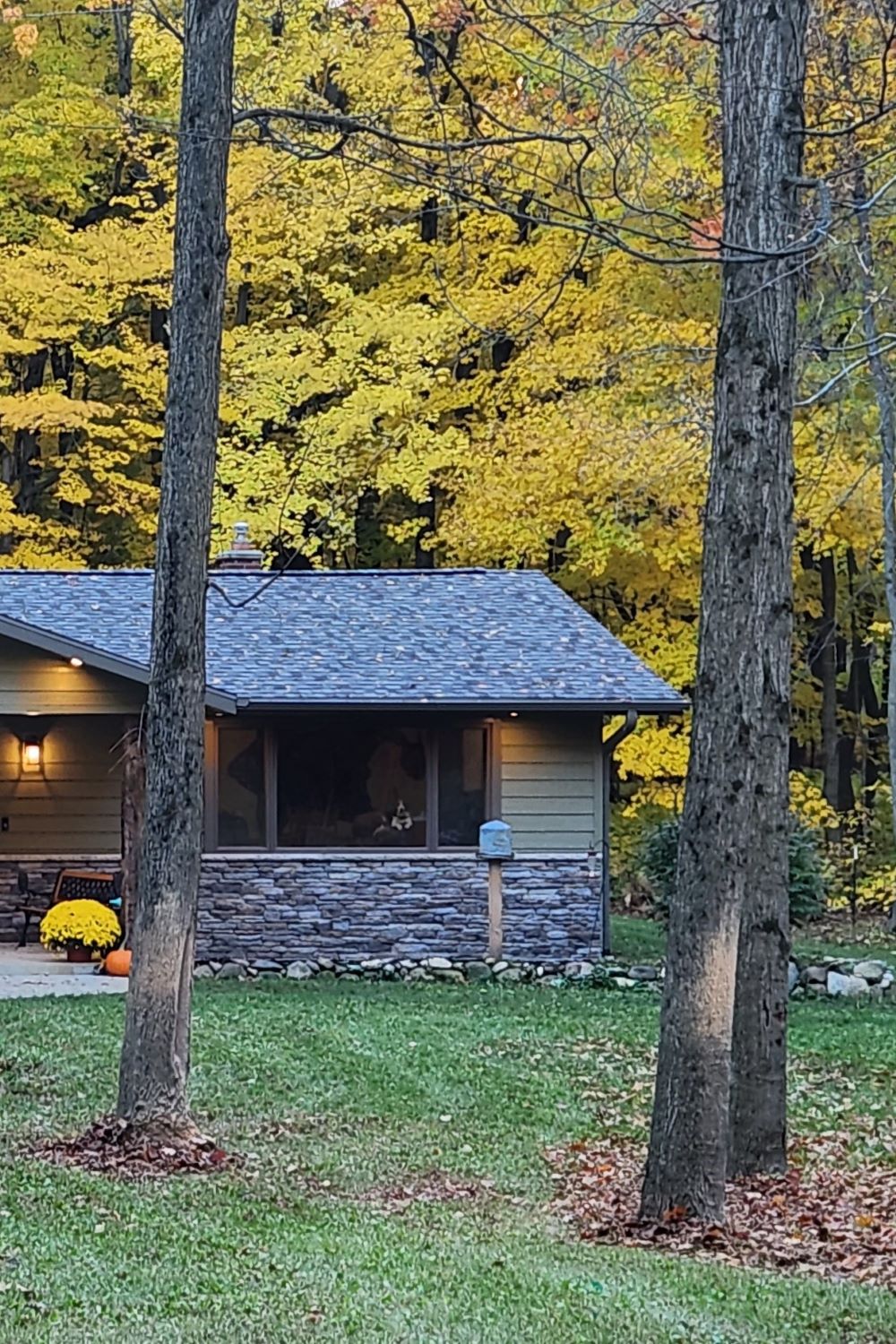 Stone Veneer - Ledge Stone Mountain Mist - Mountain View Stone