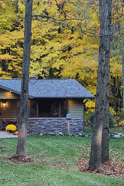 Stone Veneer - Ledge Stone Mountain Mist - Mountain View Stone