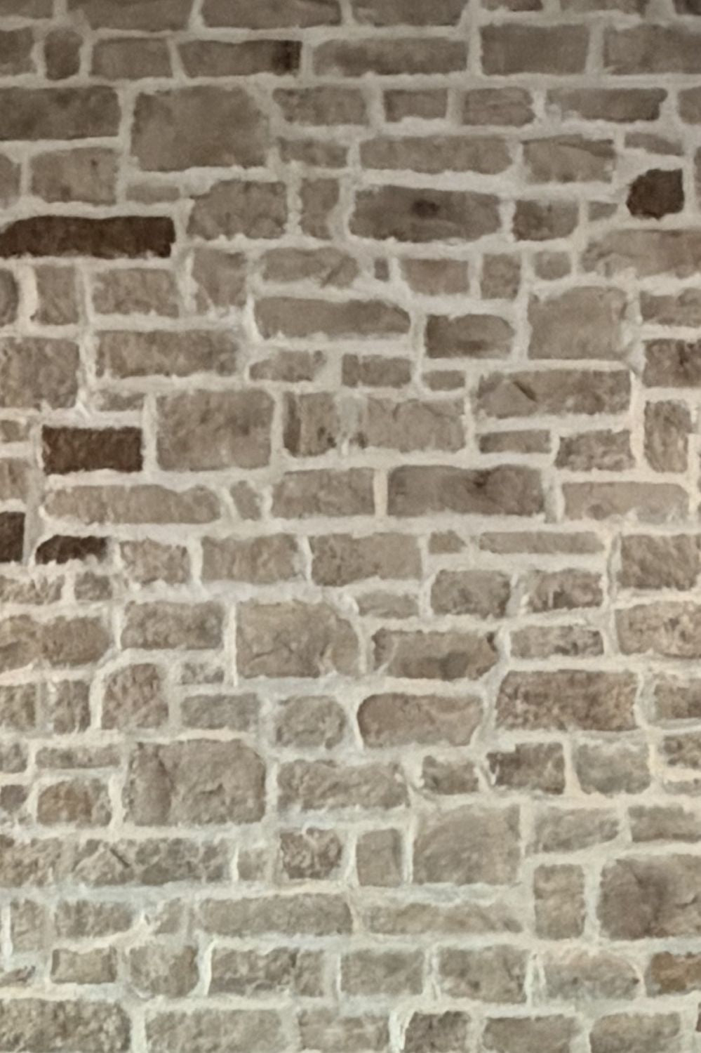Stone Veneer - Lime Stone Austin White - Mountain View Stone
