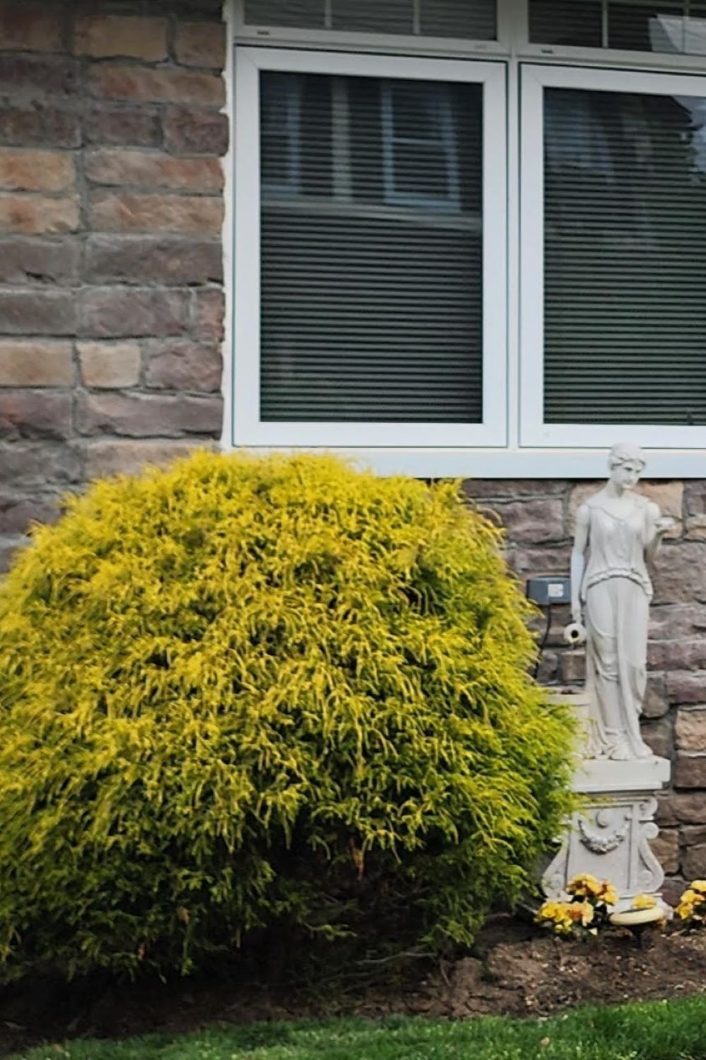 Stone Veneer - Lime Stone Mossy Creek - Mountain View Stone