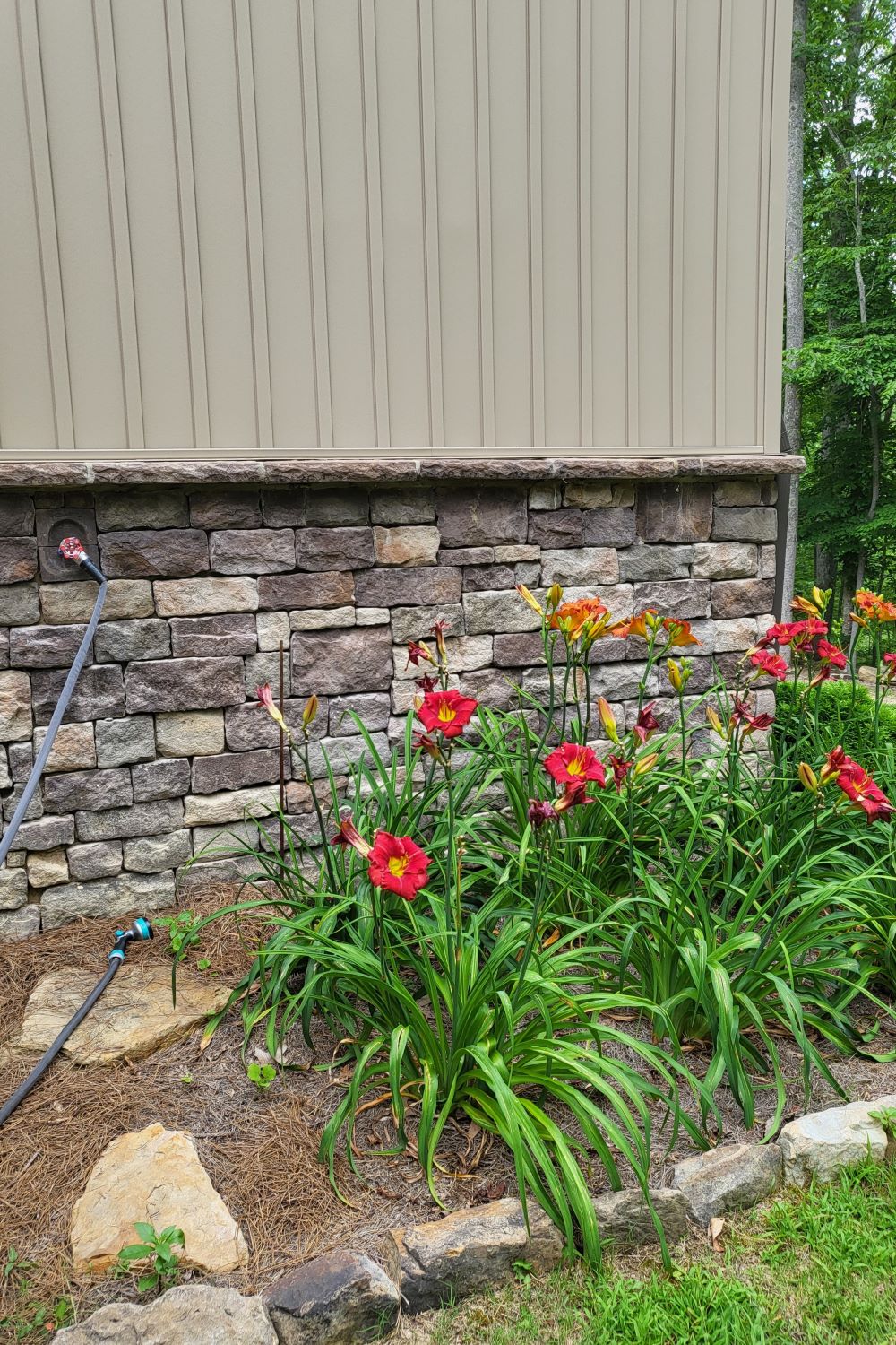 Stone Veneer - Lime Stone Mossy Creek - Mountain View Stone