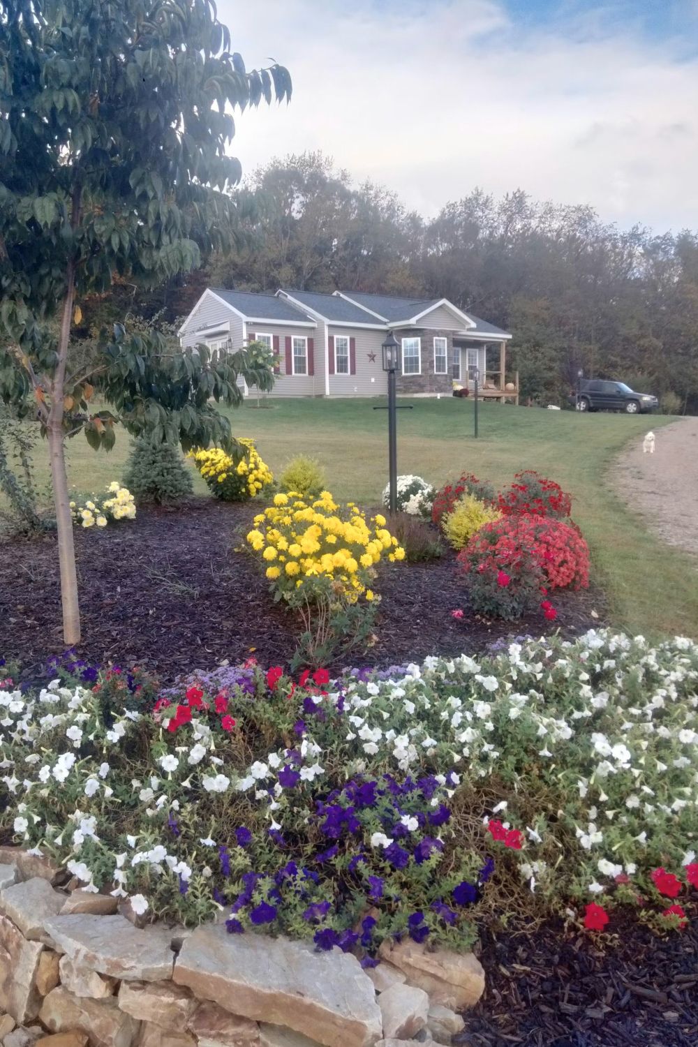 Stone Veneer - Stack Stone Midnight - Mountain View Stone